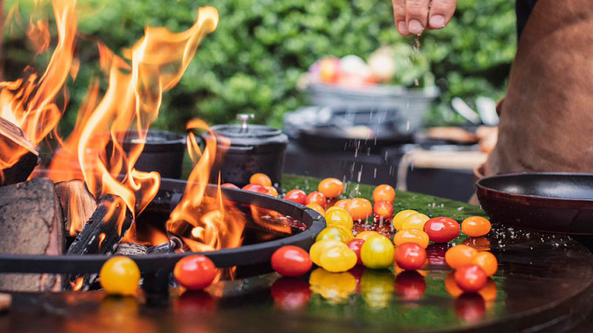 Ofyr Food Bumper 100
