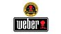 Weber Q 2200 Black Gasbarbeque 4