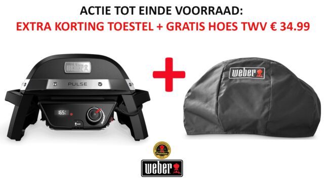 Pulse 1000 Elektrische Barbecue - Weber 