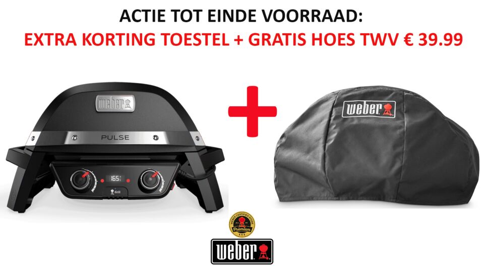 Pulse 2000 Electric Barbecue - Weber main product photo