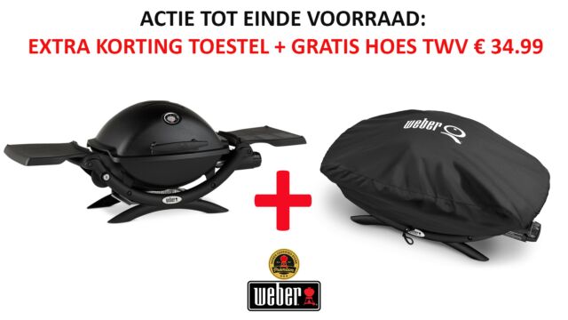 Weber Q 1200 Black Gasbarbeque