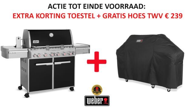 Summit E-670 Black Met GBS Grillrooster + Sear Station Brander + Braadspit - Igrill Ready 